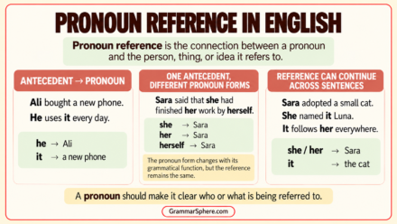 Pronoun Reference in English: Rules and Examples