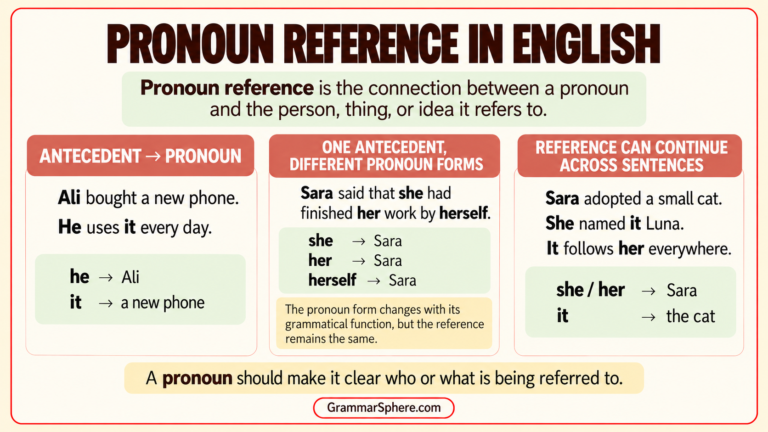 Pronoun reference in English with clear examples