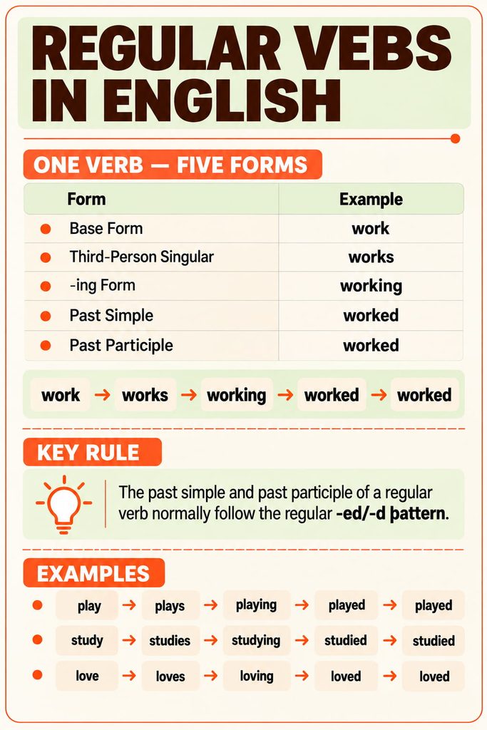 Regular Verbs in English – Five Forms, Rules and Examples