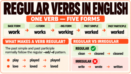 Regular Verbs in English: Rules, Forms, and Examples