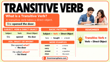 Transitive Verbs: Definition, Types, Examples & How to Identify Them