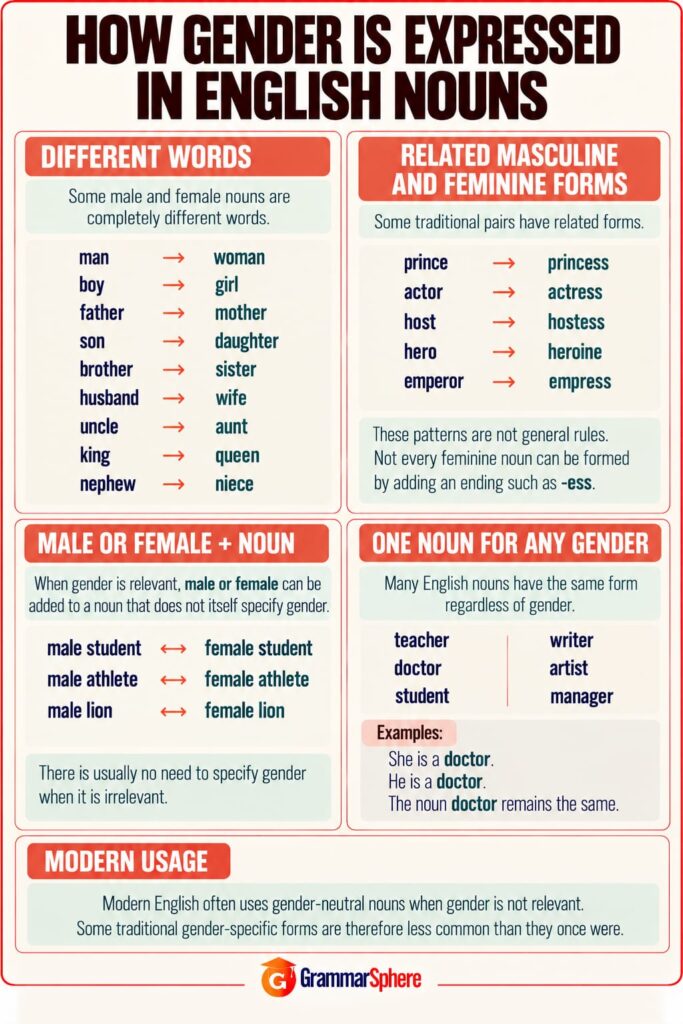 How gender is expressed in English nouns with examples