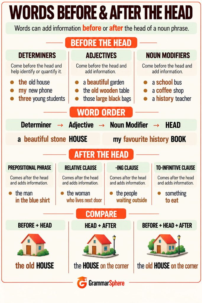 Words before and after the head noun in a noun phrase